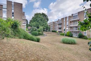 Communal Grounds- click for photo gallery